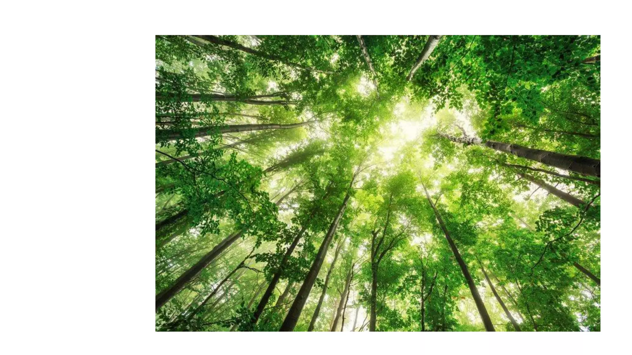 Despertando a la realidad del momento presente