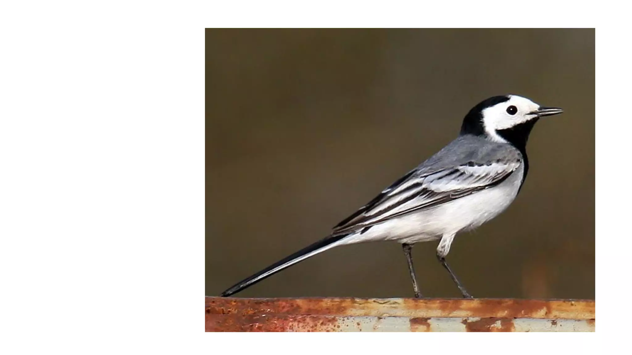 Despertando a la realidad del momento presente