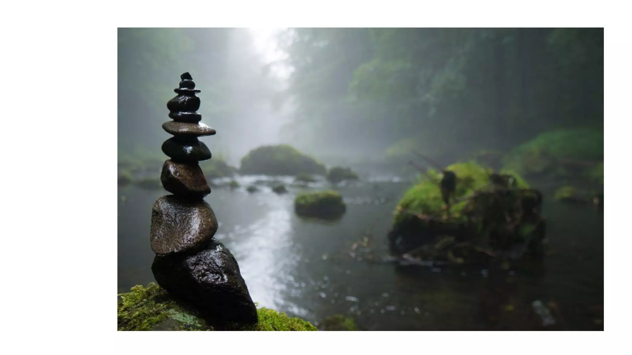 Despertando a la realidad del momento presente