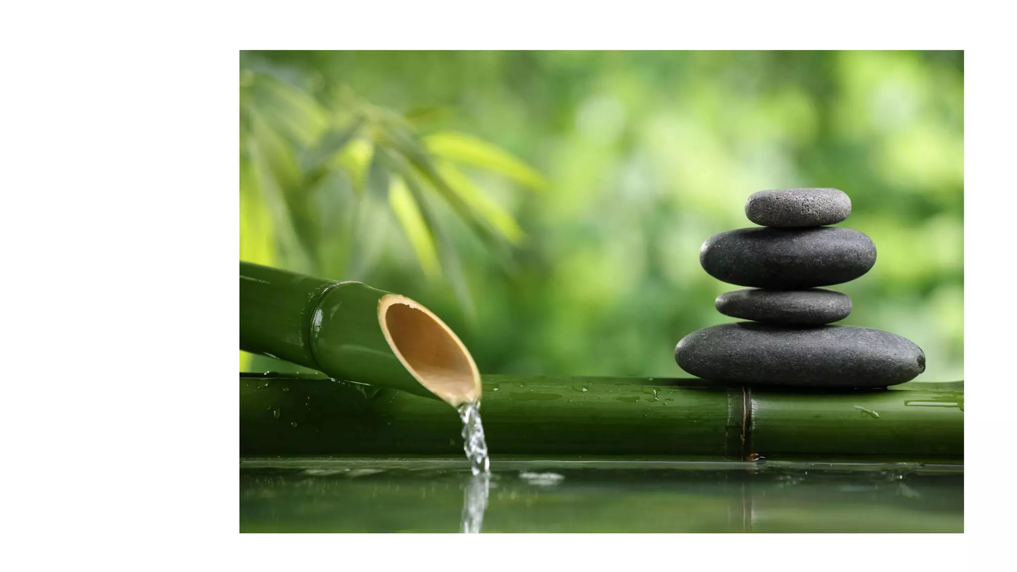 Despertando a la realidad del momento presente