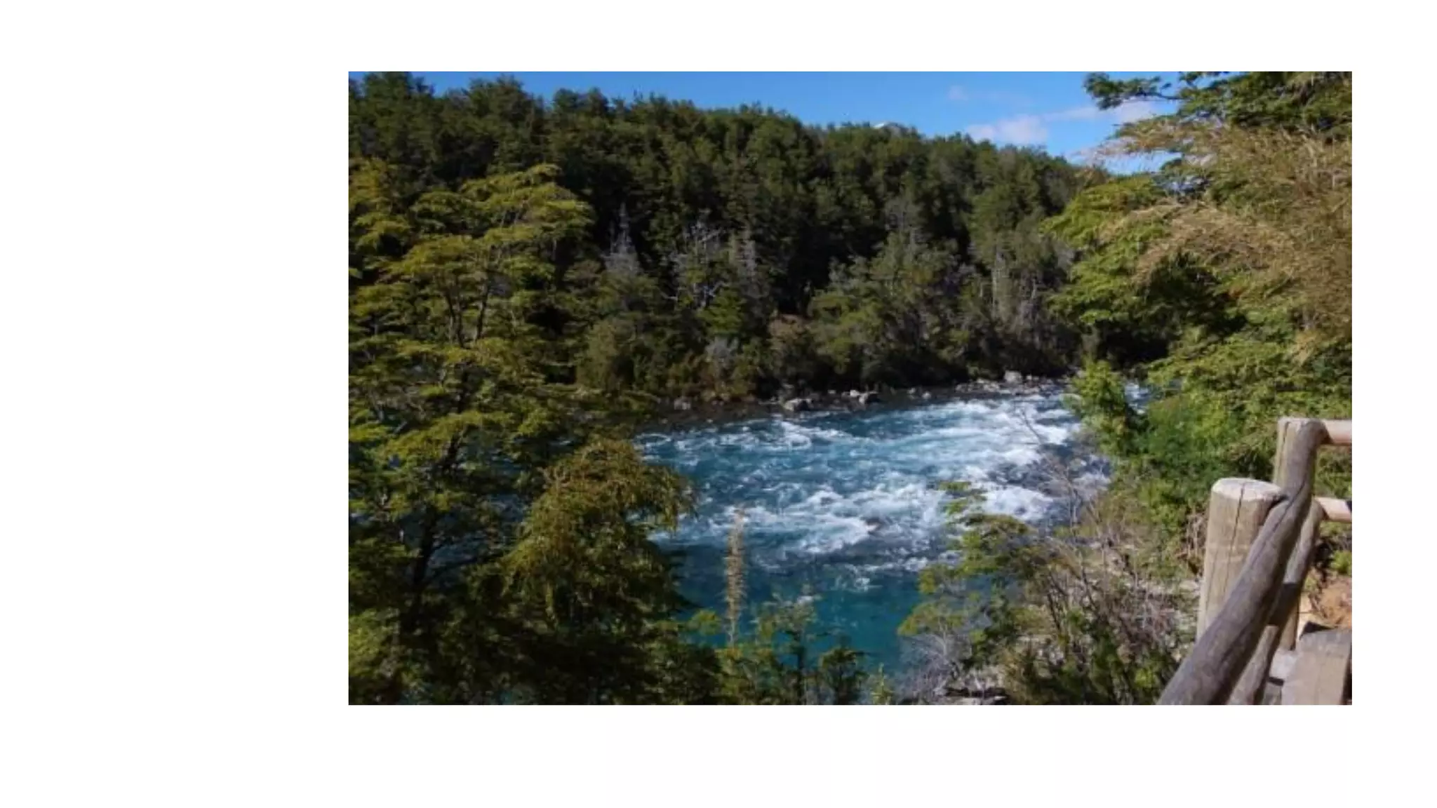 Despertando a la realidad del momento presente