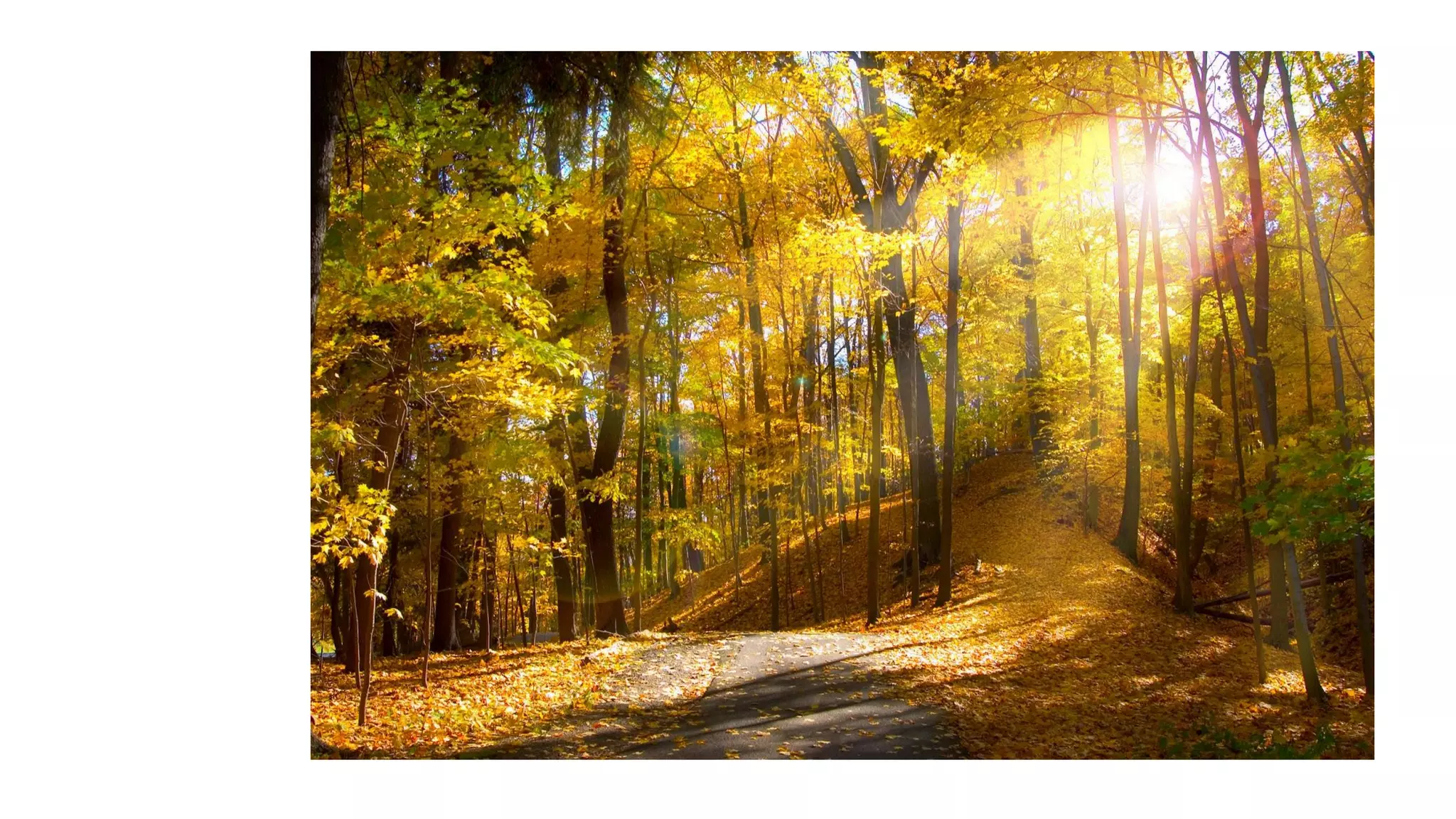 Despertando a la realidad del momento presente