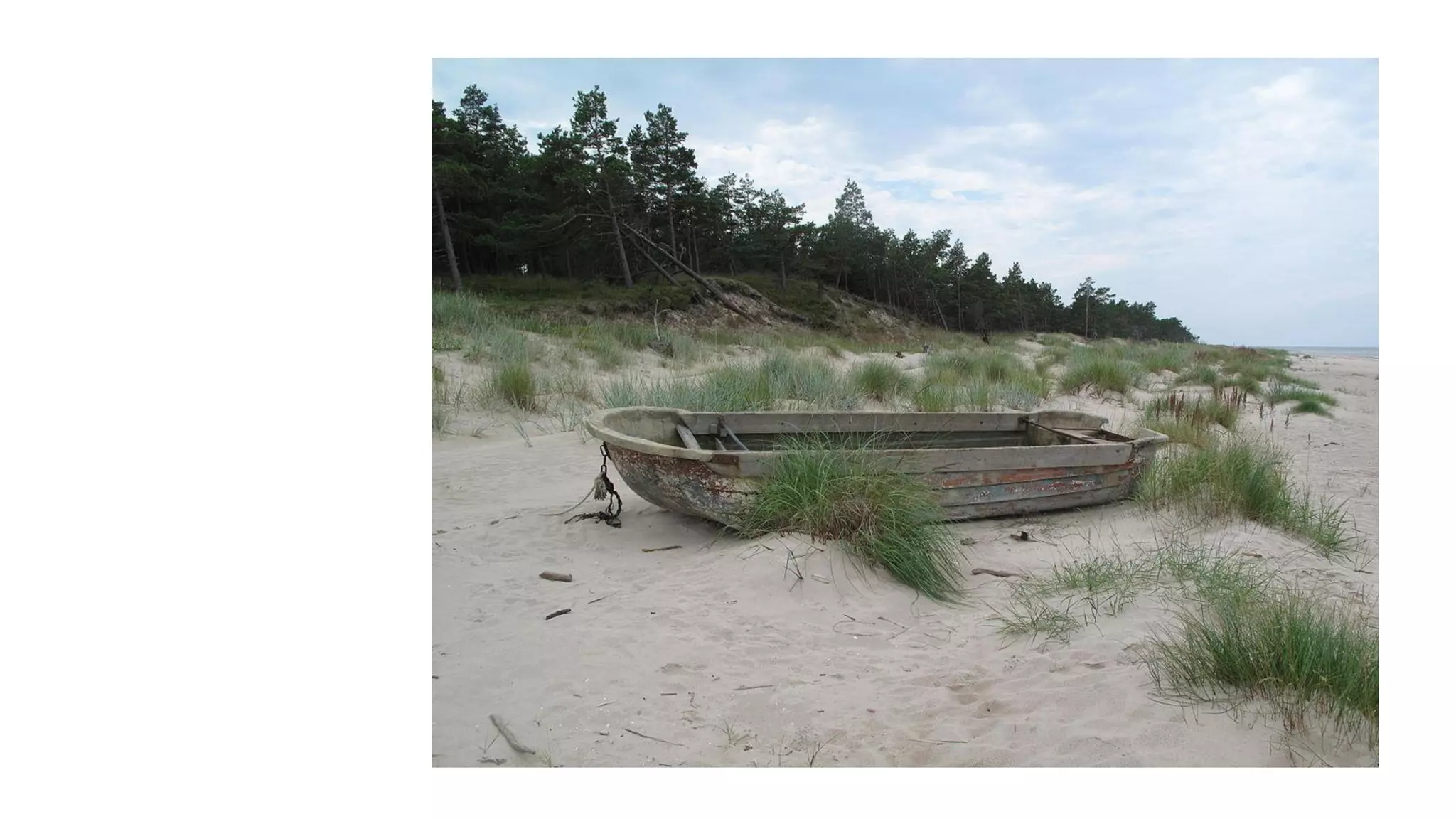 Despertando a la realidad del momento presente