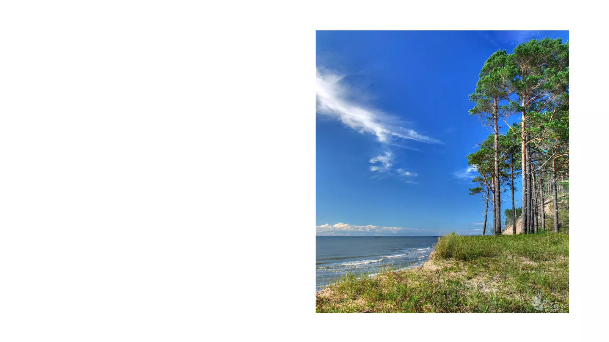 Despertando a la realidad del momento presente