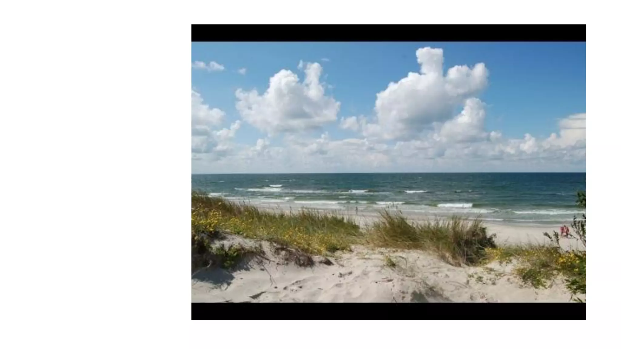 Despertando a la realidad del momento presente