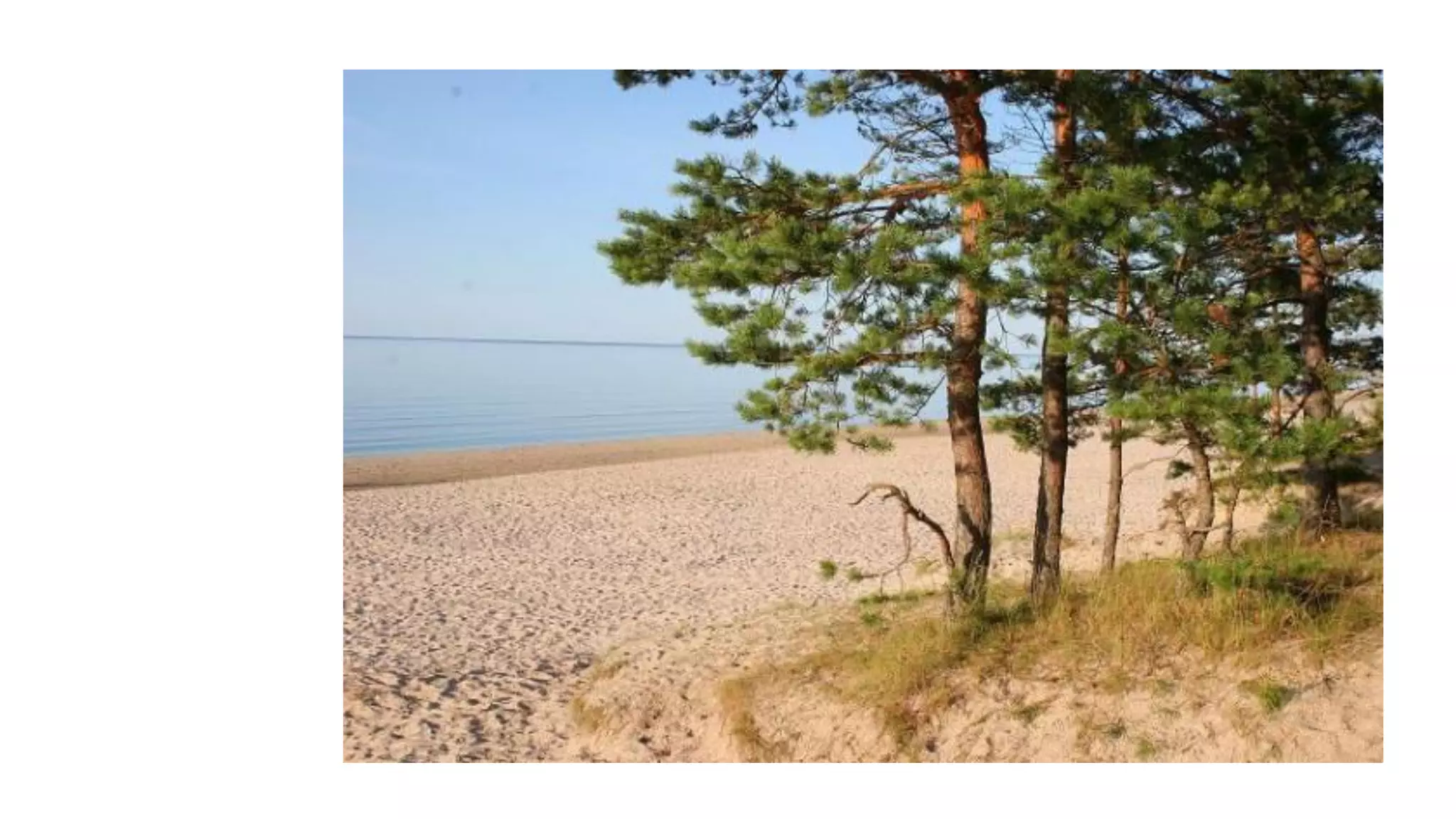 Despertando a la realidad del momento presente