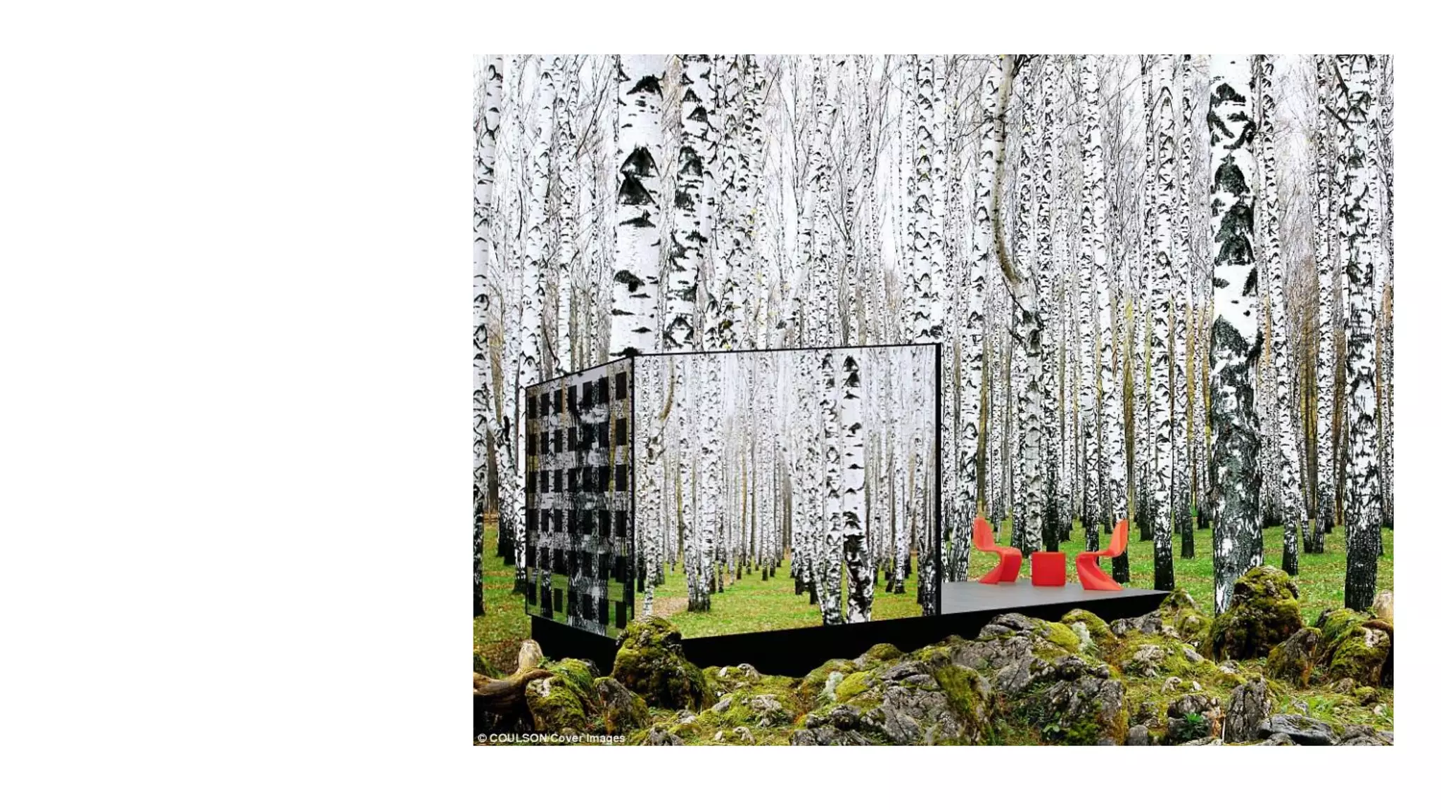 Despertando a la realidad del momento presente