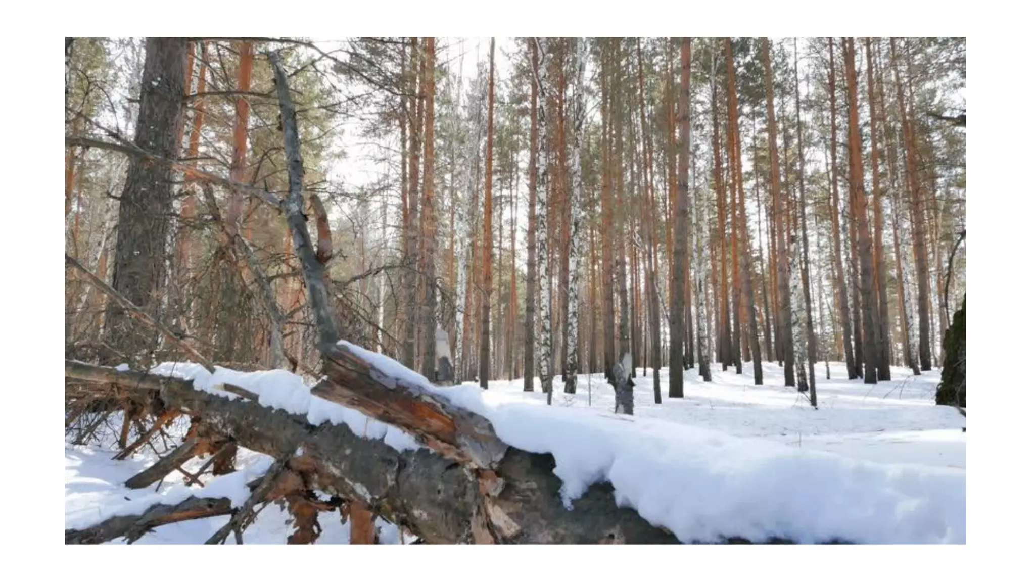 Despertando a la realidad del momento presente