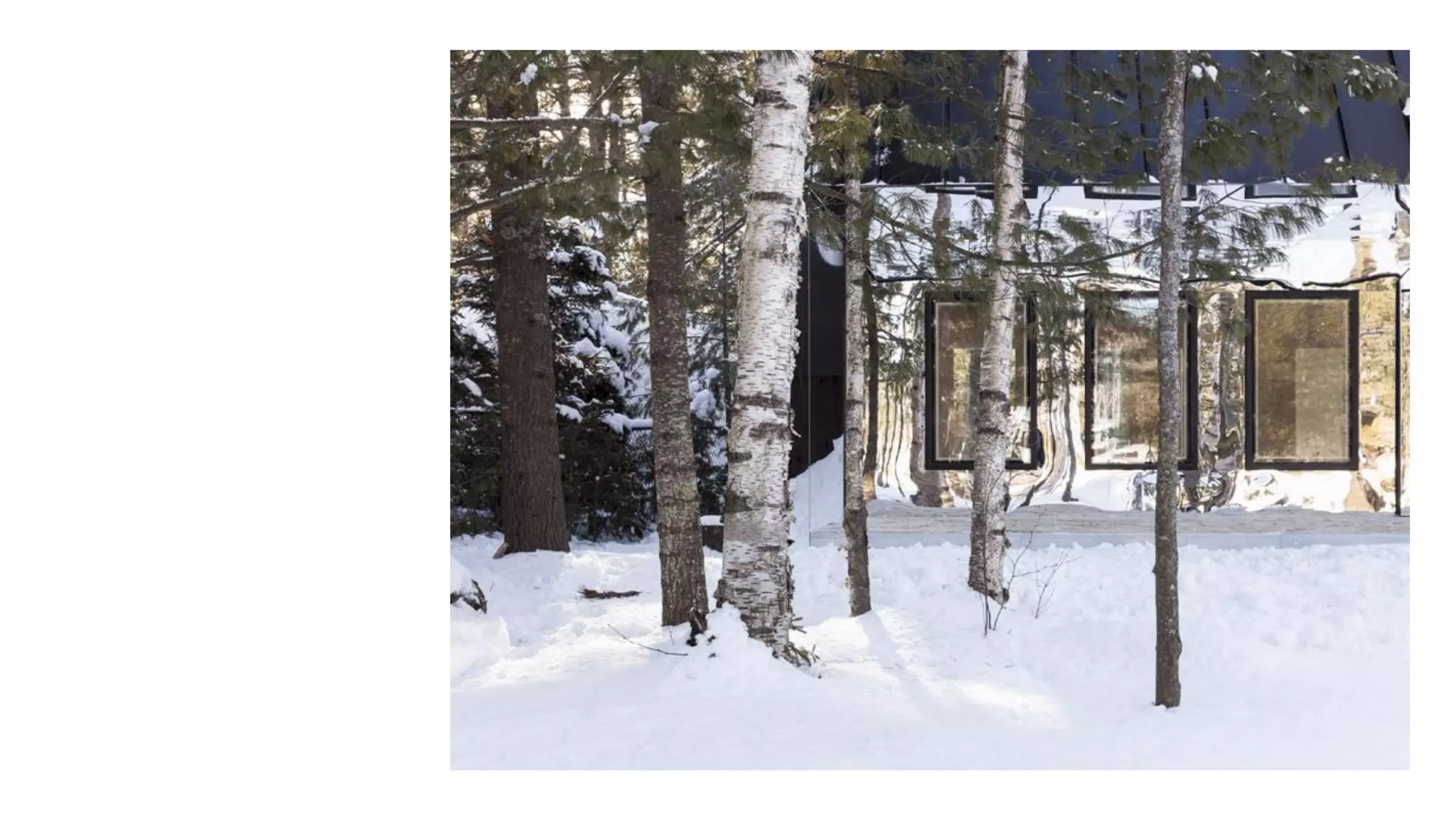 Despertando a la realidad del momento presente