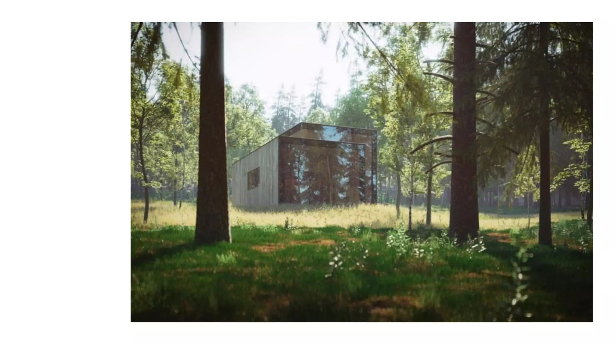 Despertando a la realidad del momento presente