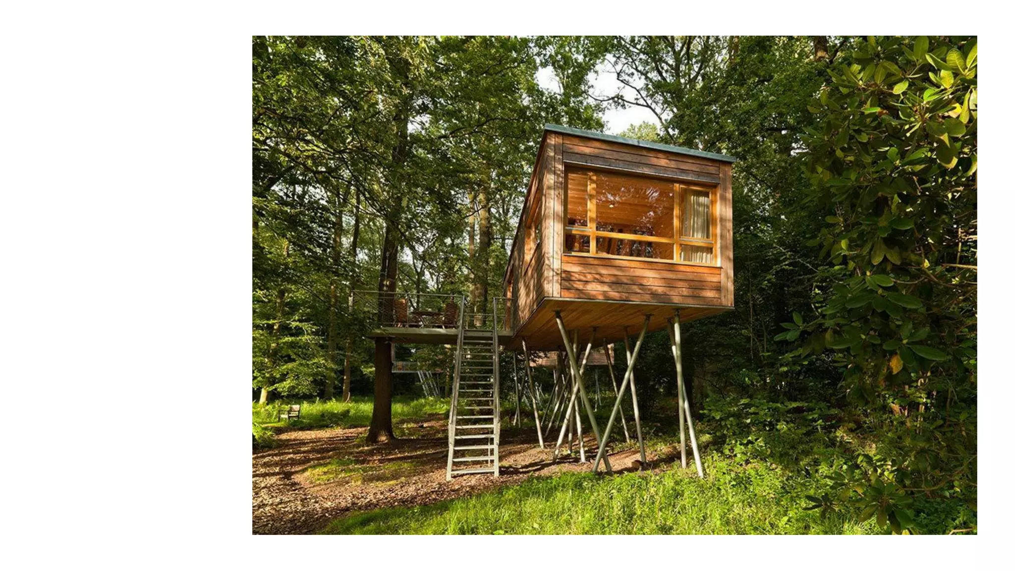 Despertando a la realidad del momento presente