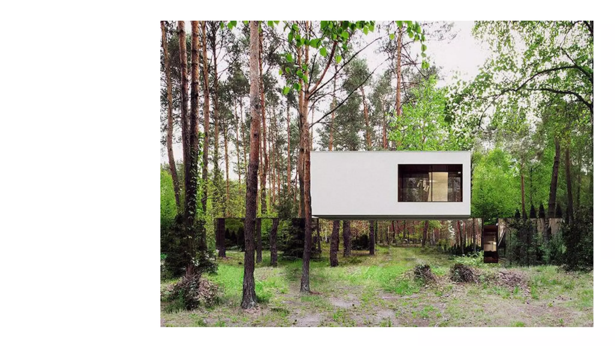 Despertando a la realidad del momento presente