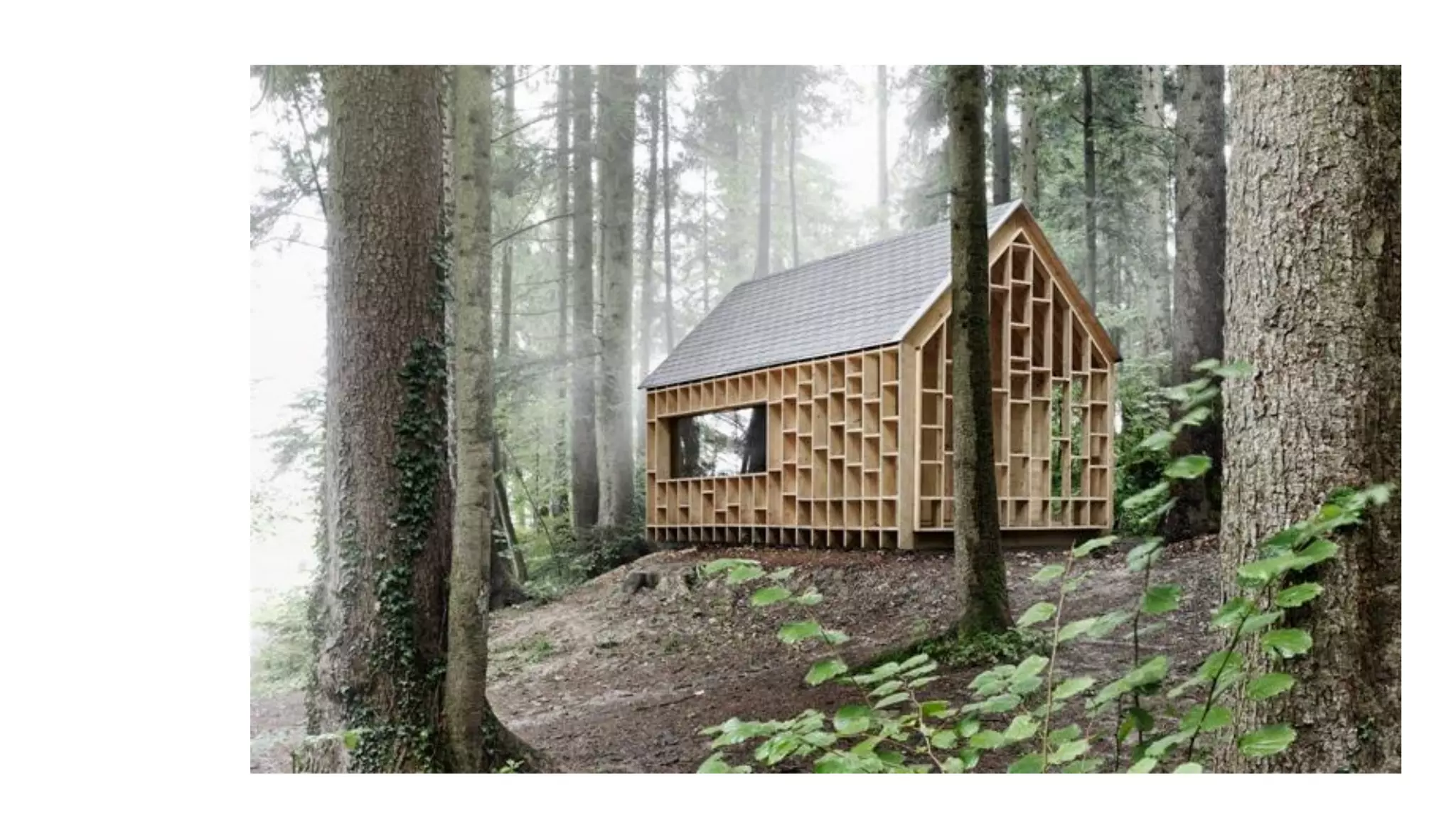 Despertando a la realidad del momento presente