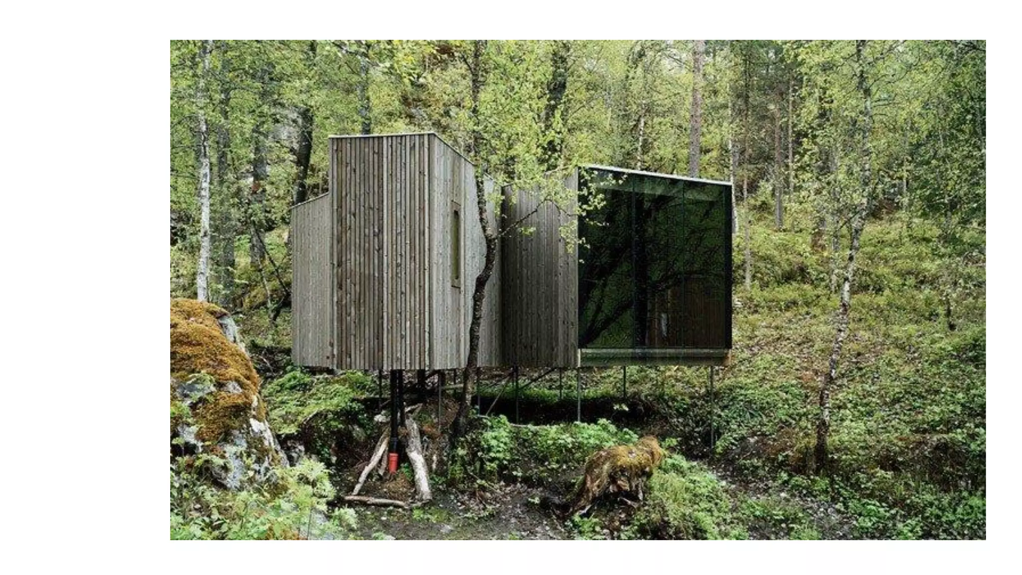 Despertando a la realidad del momento presente