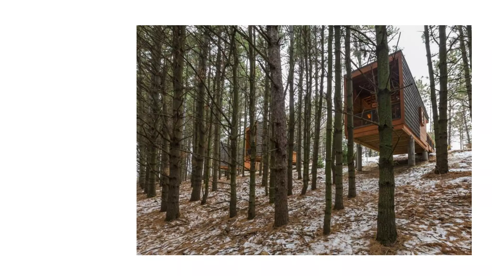 Despertando a la realidad del momento presente