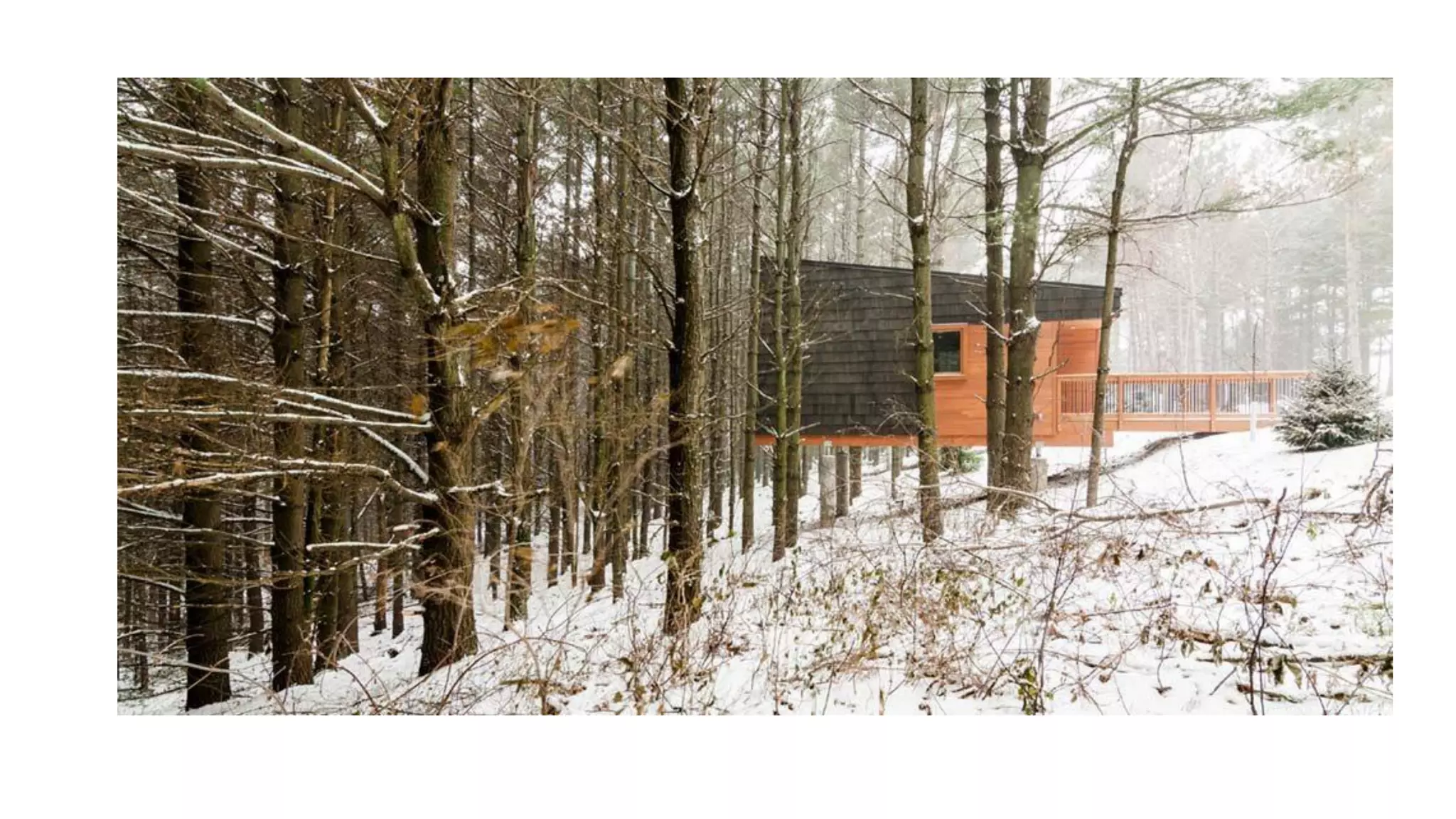 Despertando a la realidad del momento presente