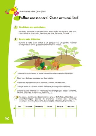 Recolher, observar e agrupar folhas em função de algumas das suas
características (cor, forma, tamanho, recorte, nervuras, textura,…).
Durante a visita a um pinhal, a um parque ou a um jardim, recolher
exemplares de folhas que se encontrem caídas no solo.
Colocar sobre uma mesa as folhas recolhidas durante a saída de campo.
Observar e dialogar acerca da sua diversidade.
Propor que agrupem as folhas segundo critérios à sua escolha.
Dialogar sobre os critérios usados na formação dos grupos de folhas.
Explorar outros critérios não referidos pelas crianças (ex. a cor, o tamanho,
a forma, o recorte, as nervuras, a textura, …).
Registar a constituição dos diferentes grupos de folhas, utilizando o seu
desenho/imagem através de diferentes técnicas (ex. contorno,
decalque, desenho, fotografia, digitalização, fotocópia, tingimento… ).
1
2
o h o l ?
F l as a s montes! Como arrumá- as
n a s d s
Fi alid de da activi ade
x r i i a
E plo ação d dáct c
Cor Textura Tamanho Forma Recorte Nervura
Actividades sobre Seres Vivos
86
86
 