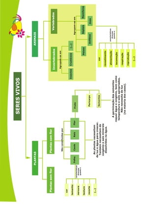SERES
VIVOS
SERES
VIVOS
PLANTAS
PLANTAS
ANIMAIS
ANIMAIS
As
plantas
necessitam
de
luz
e
água
para
crescer.
Também
necessitam
de
oxigénio
e
sais
minerais
dissolvidos
na
água.
A
germinação
das
sementes
requer
água
e
oxigénio,
bem
como
temperatura
e
solo
apropriados.
Não
necessita
de
luz
(na
maioria
dos
casos).
Invertebrados
Invertebrados
Vertebrados
Vertebrados
Plantas
sem
flor
Plantas
sem
flor
Plantas
com
flor
Plantas
com
flor
cor
Folha
Caule
Raiz
Flor
características
diversas
quanto
a
São
constituídas
por
Agrupam-se
em
Agrupam-se
em
tamanho
nervura
textura
recorte
(...)
Fruto
Insectos
Crustáceos
Peixes
cor
revestimento
alimentação
locomoção
respiração
reprodução
(...)
Anfíbios
Répteis
Aves
Mamiferos
(...)
Sementes
Pericarpo
características
diversas
quanto
a
 