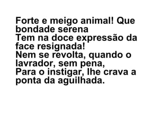 Forte e meigo animal! Que bondade serena Tem na doce expressão da face resignada! Nem se revolta, quando o lavrador, sem pena, Para o instigar, lhe crava a ponta da aguilhada.  