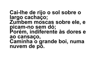 Cai-lhe de rijo o sol sobre o largo cachaço; Zumbem moscas sobre ele, e picam-no sem dó; Porém, indiferente às dores e ao cansaço, Caminha o grande boi, numa nuvem de pó. 