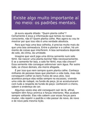 Existe algo muito importante aí
no meio: os padrões mentais.
Já ouviu aquele ditado: “Quem planta colhe”?
Certamente é essa a informação que temos no nosso
consciente, não é? Quem planta colhe. Mas agora eu vou te
mostrar por que isso não é uma verdade absoluta.
Para que haja uma boa colheita, é preciso muito mais do
que uma boa semeadura. Entre o plantar e o colher, há um
monte de coisas que interferem. A boa semeadura depende
do solo, do clima, da umidade.
Imagine que você joga uma ótima semente num solo
fértil. Vai nascer uma planta bonita? Não necessariamente.
E se a semente for boa, o solo for fértil, mas não chover?
Essa semente não consegue sobreviver sem água. Por outro
lado, se chove demais, ela morre afogada.
É por isso que nem sempre quem planta colhe. Conheço
milhares de pessoas boas que plantam a vida toda, mas não
conseguem colher os bons frutos de seus atos. Isso
acontece porque elas estão sempre na escassez, vivendo
uma vida de rodapé, no fundo do poço. Já se acostumaram
com tudo a respeito do fundo do poço: conhecem o cheiro,
sabem o endereço de cor.
Algumas vezes elas até conseguem sair de lá, aﬁnal,
também têm força anímica e forças interiores. Mas acabam
sempre voltando. Elas não sabem usar essas forças para
mudar, não repetir o padrão e não passar de novo, de novo
e de novo pela mesma lição.
 