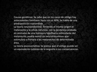 Causas genéticas: Se sabe que en los casos de vitíligo hay
antecedentes familiares hasta en un 40%. Se habla de una
predisposición transmitida.
La teoría neuroendocrina: Teniendo el mismo origen el
melanocito y la célula nerviosa, con la existencia probada
en animales de una hormona hipofisaria estimulante del
melanocito, podría existir un neurotransmisor que
estimulara o frenara a los melanocitos de determinada
área.
La teoría psicosomática: Se piensa que el vitíligo puede ser
un equivalente cutáneo de la angustia o sus consecuencias.
 