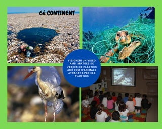 6é CONTINENT
VISIONEM UN VIDEO
AMB IMATGES DE
L'EXCÉS DE PLÀSTICS
AIXÍ COM D'ANIMALS
ATRAPATS PER ELS
PLÀSTICS
 