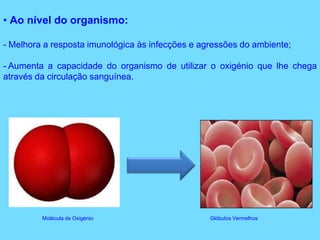 O desporto acarreta benefícios na saúde mental e física das pessoas:No coração:
