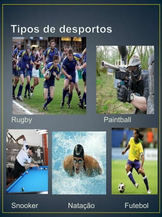 Rugby               Paintball




Snooker   Natação         Futebol
 