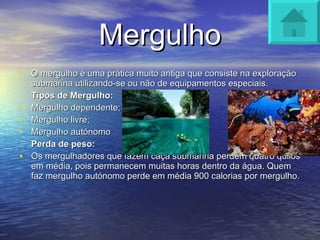 Mergulho O mergulho é uma prática muito antiga que consiste na exploração submarina utilizando-se ou não de equipamentos especiais. Tipos de Mergulho: Mergulho dependente; Mergulho livre; Mergulho autónomo Perda de peso: Os mergulhadores que fazem caça submarina perdem quatro quilos em média, pois permanecem muitas horas dentro da água. Quem faz mergulho autónomo perde em média 900 calorias por mergulho. 