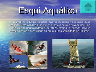 Esqui Aquático Para praticar o Esqui Aquático são necessárias no mínimo duas pessoas. Uma conduz a lancha enquanto a outra é puxada por uma corda cujo tamanho/padrão é de 18,25 metros. A pessoa precisa manter o corpo em equilíbrio na água a uma velocidade de 80 km/h. 