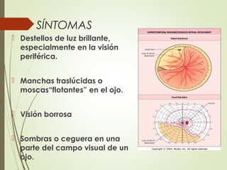 SÍNTOMAS
 Destellos de luz brillante,
especialmente en la visión
periférica.
 Manchas traslúcidas o
moscas“flotantes” en el ojo.
 Visión borrosa
 Sombras o ceguera en una
parte del campo visual de un
ojo.
 
