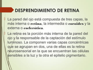 DESPRENDIMIENTO DE RETINA
 La pared del ojo está compuesta de tres capas, la
más interna o retina, la intermedia o coroides y la
externa o esclerótica.
 La retina es la porción más interna de la pared del
ojo y la responsable de la captación del estímulo
luminoso. La componen varias capas concéntricas
que se agrupan en dos, una de ellas es la retina
neurosensorial en la que se encuentran las células
sensibles a la luz y la otra el epitelio pigmentario.
 