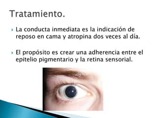 



La conducta inmediata es la indicación de
reposo en cama y atropina dos veces al día.
El propósito es crear una adherencia entre el
epitelio pigmentario y la retina sensorial.

 