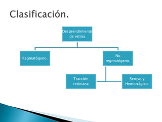 Desprendimiento
de retina

No
regmatógeno.

Regmatógeno.

Tracción
retiniana

Seroso y
Hemorrágico.

 