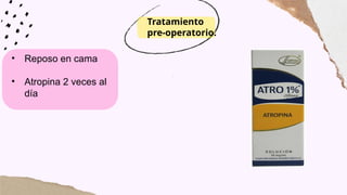 Tratamiento
pre-operatorio.
• Reposo en cama
• Atropina 2 veces al
día
 
