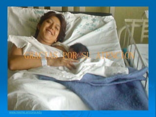 GRACIAS POR SU ATENCION
www.reeme.arizona.edu
 