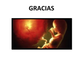 GRACIAS

 