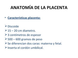 ANATOMÍA DE LA PLACENTA
• Características placenta:
 Discoide
 15 – 20 cm diametro.
 3 centímetros de espesor
 500 – 600 gramos de peso
 Se diferencian dos caras: materna y fetal.
 Inserta el cordón umbilical.

 