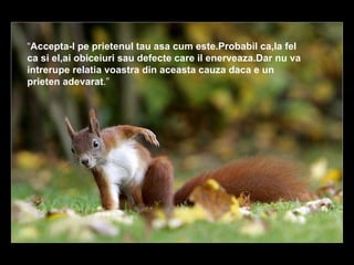 “ Accepta-l pe prietenul tau asa cum este.Probabil ca,la fel ca si el,ai obiceiuri sau defecte care il enerveaza.Dar nu va intrerupe relatia voastra din aceasta cauza daca e un prieten adevarat .”  
