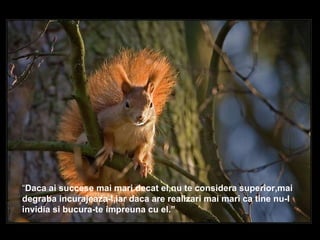 “ Daca ai succese mai mari decat el,nu te considera superior,mai degraba incurajeaza-l,iar daca are realizari mai mari ca tine nu-l invidia si bucura-te impreuna cu el.”   