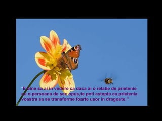 “ E bine sa ai in vedere ca daca ai o relatie de prietenie cu o persoana de sex opus,te poti astepta ca prietenia voastra sa se transforme foarte usor in dragoste.”  