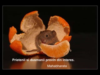   Prietenii si dusmanii provin din interes. Mahabharata 