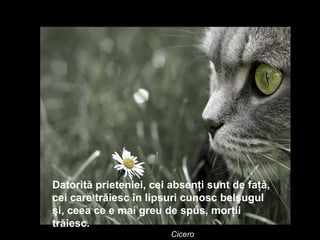 Datorită prieteniei, cei absenţi sunt de faţă, cei care trăiesc în lipsuri cunosc belşugul şi, ceea ce e mai greu de spus, morţii trăiesc.   Cicero 