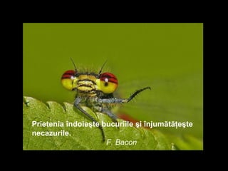 Prietenia îndoieşte bucuriile şi înjumătăţeşte necazurile.   F. Bacon 