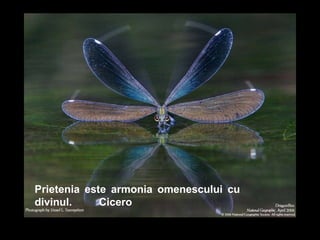 Prietenia este armonia omenescului cu divinul .   Cicero 