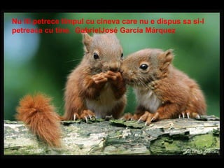 Nu iti petrece timpul cu cineva care nu e dispus sa si-l petreaca cu tine.  GabrielJosé García Márquez 