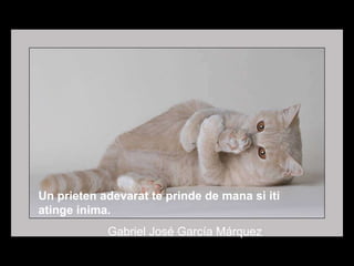 Un prieten adevarat te prinde de mana si iti atinge inima.  Gabriel José García Márquez 