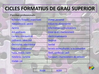 CICLES FORMATIUS DE GRAU SUPERIOR
 Famílies professionals:
  Activitats físiques i esportives      Imatge personal
  Administració i gestió                Indústries alimentàries
  Agrària                               Informàtica i comunicacions
  Arts gràfiques                        Instal·lació i manteniment
  Comerç i màrqueting                   Maritimopesquera
  Edificació i obra civil               Química
  Electricitat i electrònica            Sanitat
  Fabricació mecànica                   Serveis socioculturals i a la comunitat
  Fusta, moble i suro                   Tèxtil, confecció i pell
  Hoteleria i turisme                   Transport i manteniment de vehicles
  Imatge i so

                                                                                  2/2

                                RESUM             ALTRES
 