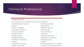 Formació Professional
 